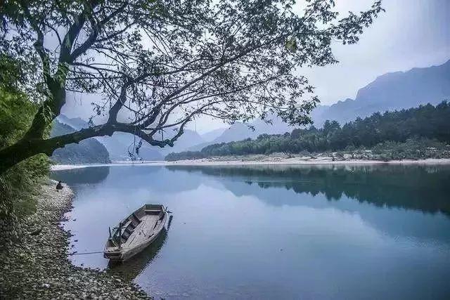纪实:鹅肉西施穿黑色小背心出摊,引无数顾客排队买肉,网友争议