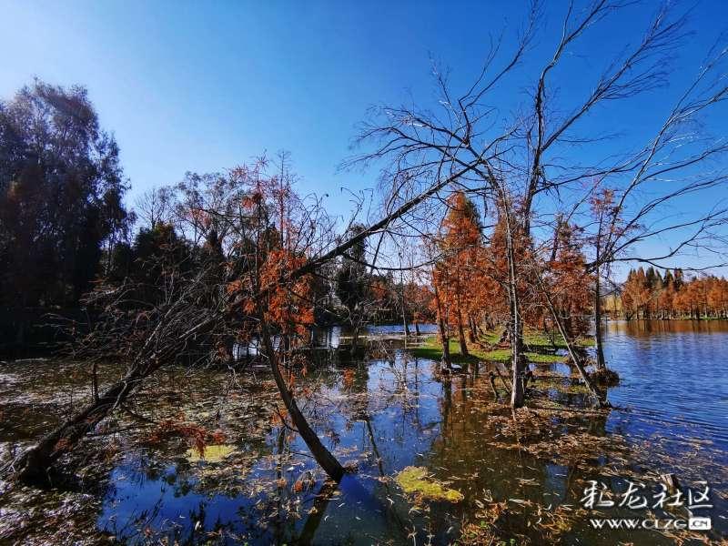 滁州市琅琊区丰山街道：“三红”聚力擦亮基层治理“实”字招牌
