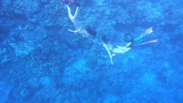 河南耕地面积实现“三连增” 稳定在1.1亿亩以上