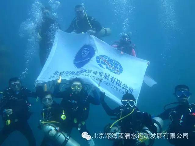 暖温调奶器什么牌子性价比高？5大评价超好的机型推荐！