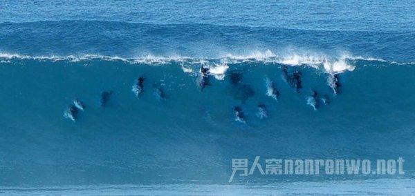 芭比公主四元素装