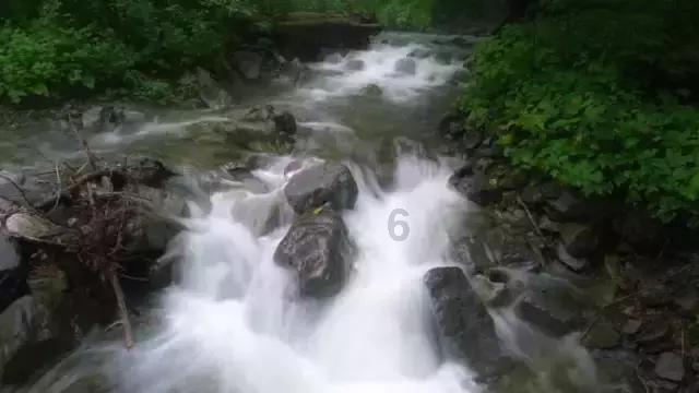 权志龙皮肤状态差,晒镶钻牙套胡子拉碴,韩流明星为何在内地不火了?-有问必答平台,随时解答你的疑问