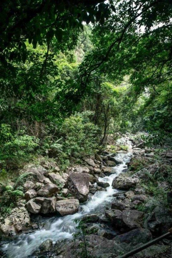 和佳退(和佳医疗)股票索赔案已有二审终审胜诉判例,律师提示最新索赔条件
