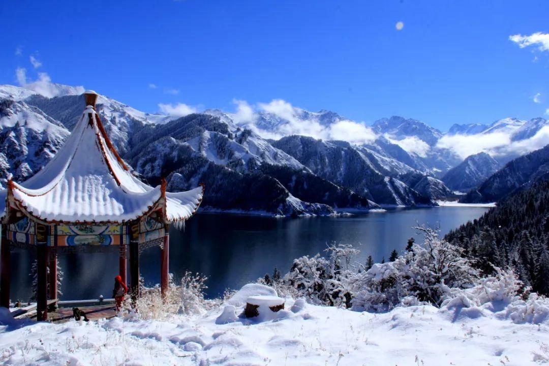 奏响“前进”之歌——灵台县经济社会高质量发展纪实