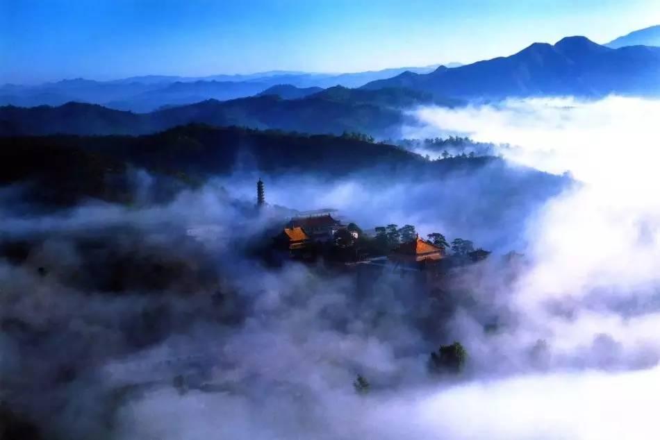 东京迷城